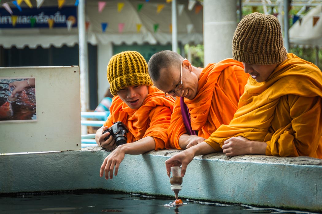 photos of monks