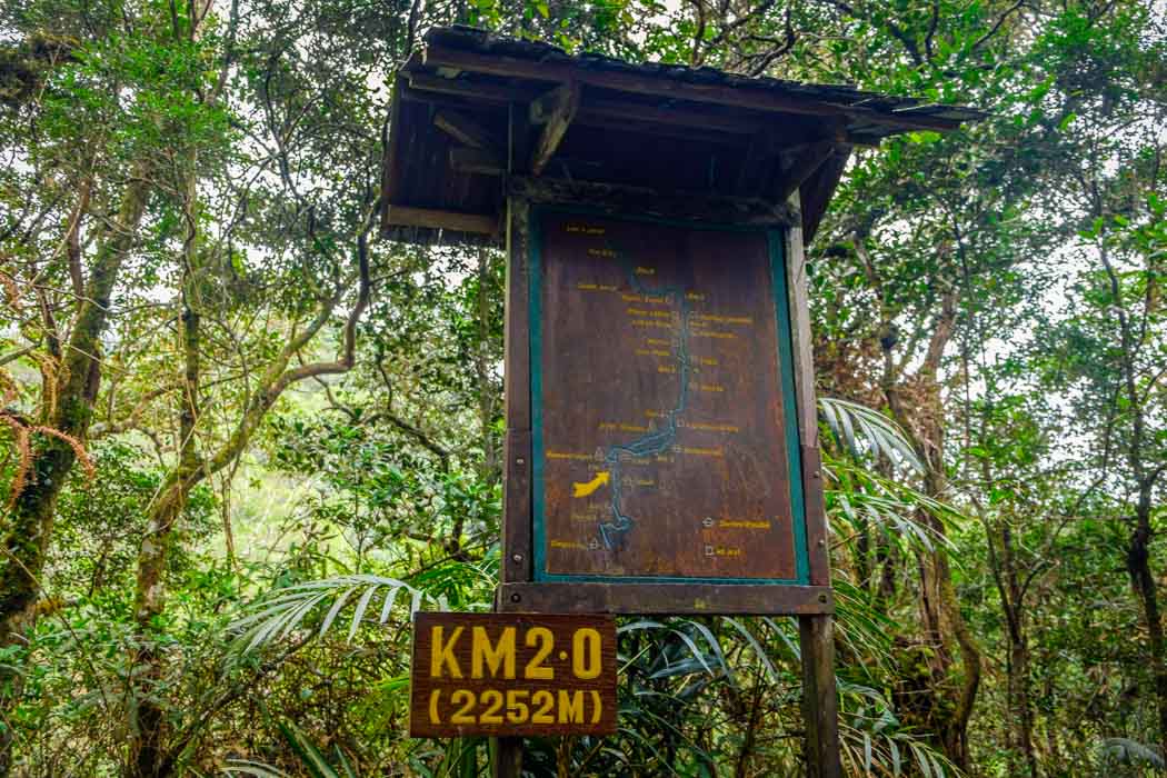 Climb Mount Kinabalu 