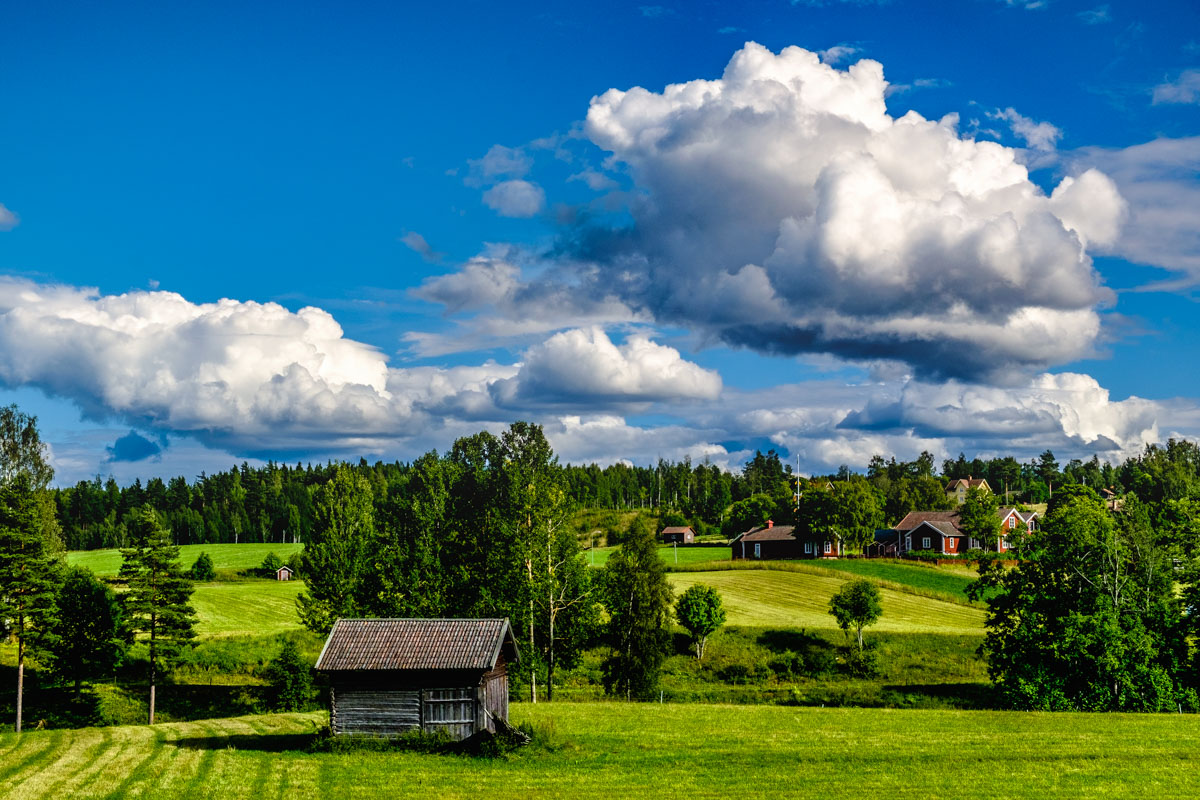 Learning To Be A Swede In Dalarna