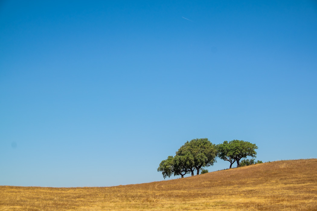 Hiking in Portugal