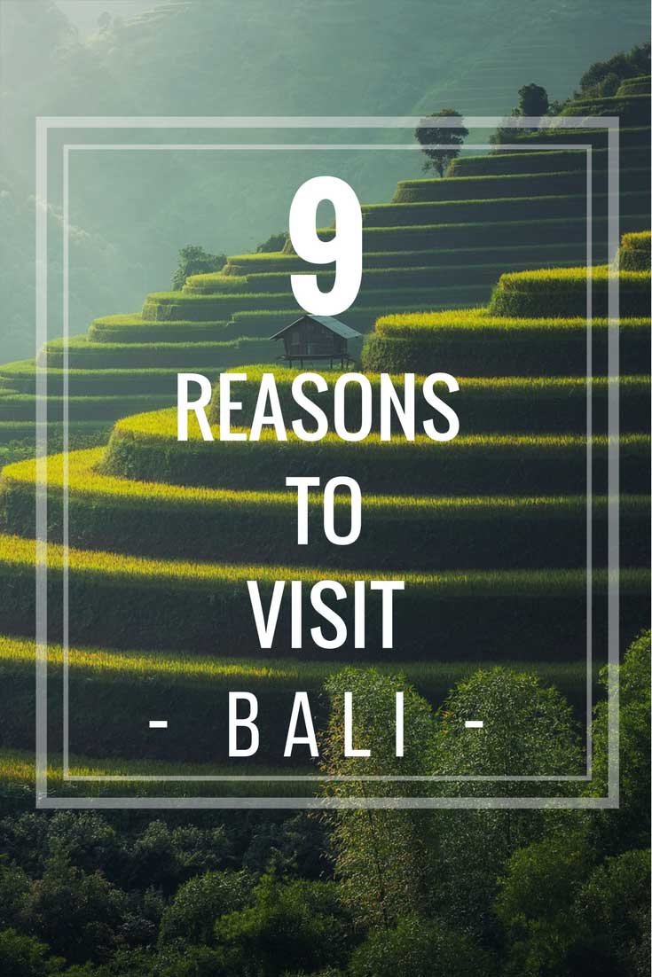 why you should visit bali