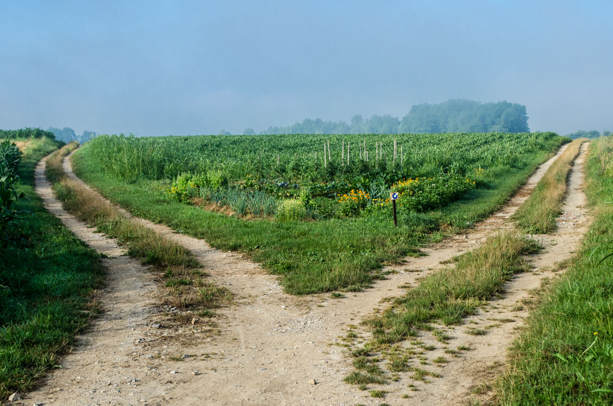 rural Slovenia