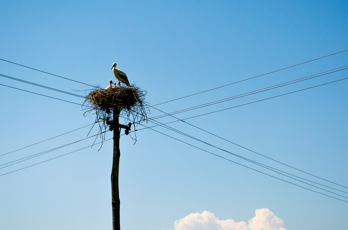 rural Slovenia