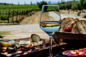 Costa Brava Wineries: Back to the Roots