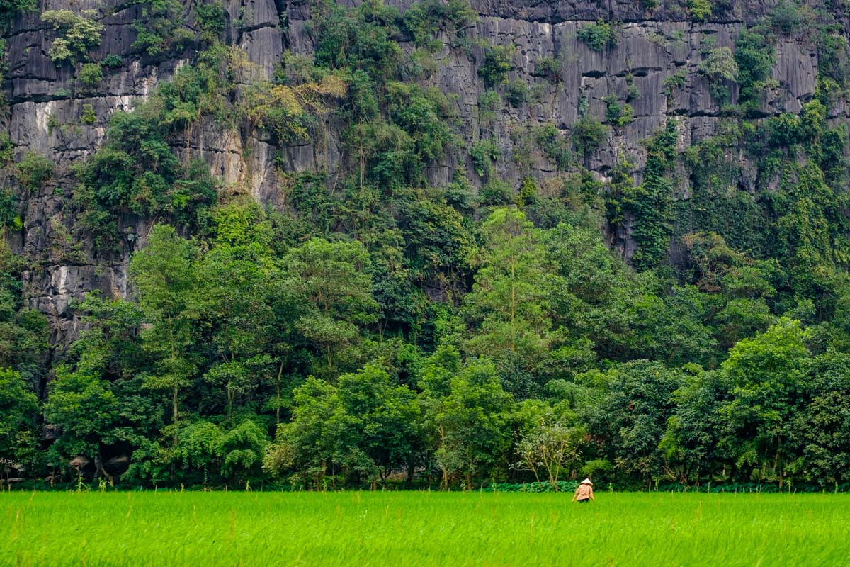 how to visit Tam Coc