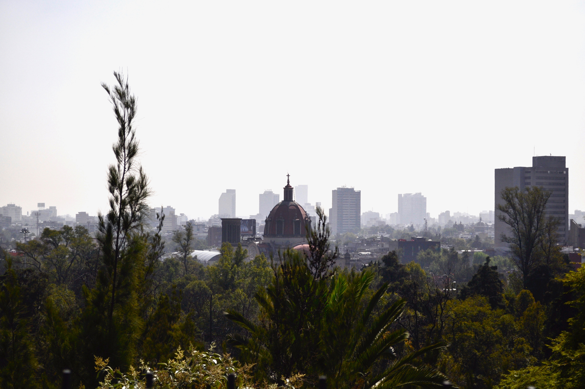 things to do in Mexico City