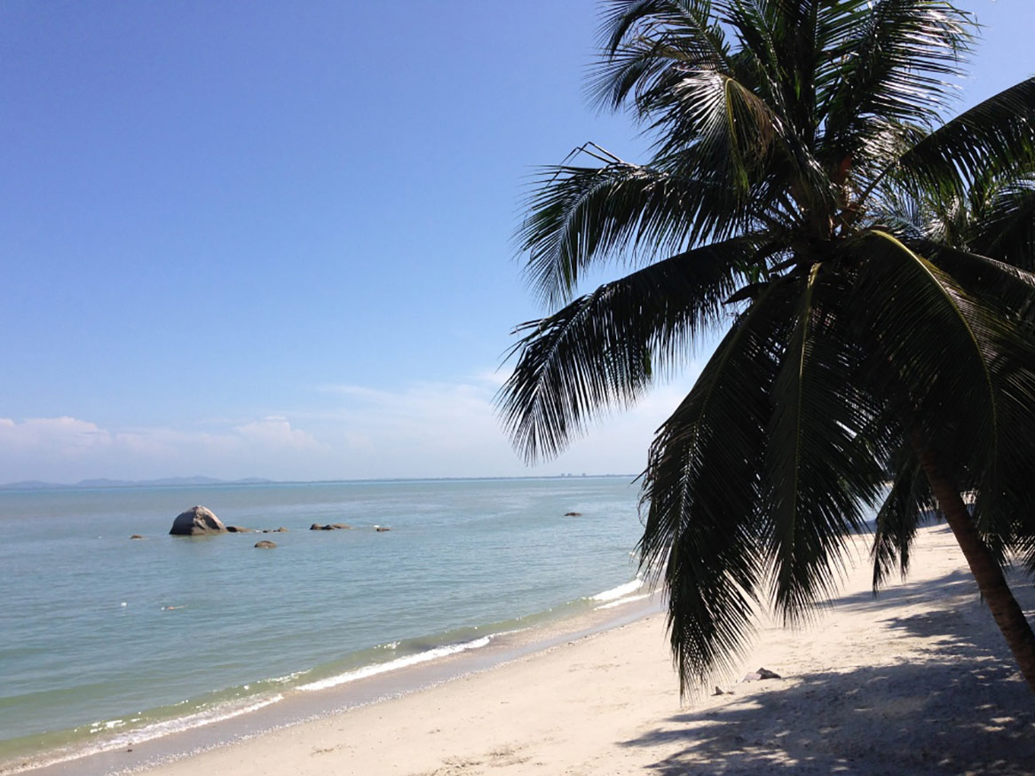 what to do in Penang