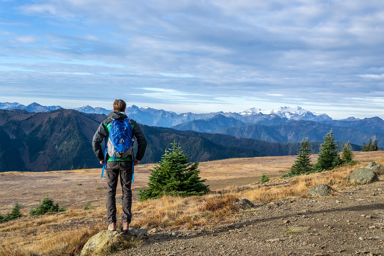 Best Hiking Backpack: A Practical Guide - Guy 2619355 1280