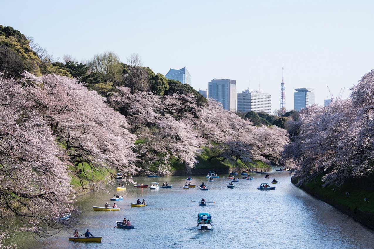 things to do in Tokyo