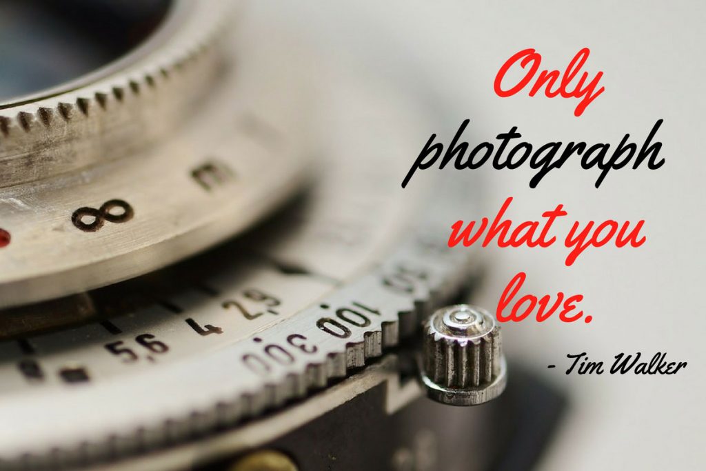 100 Best Photography Quotes Of All Time