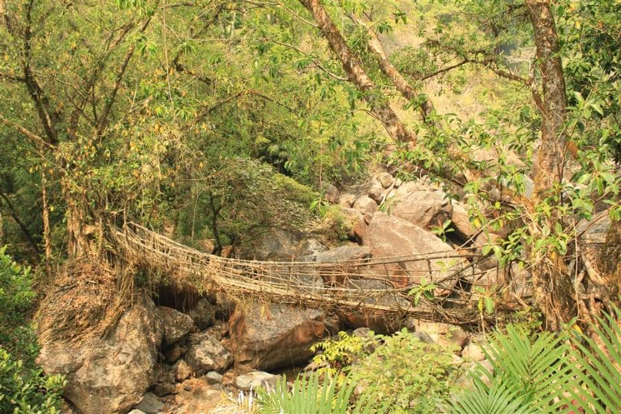 Meghalaya bridges