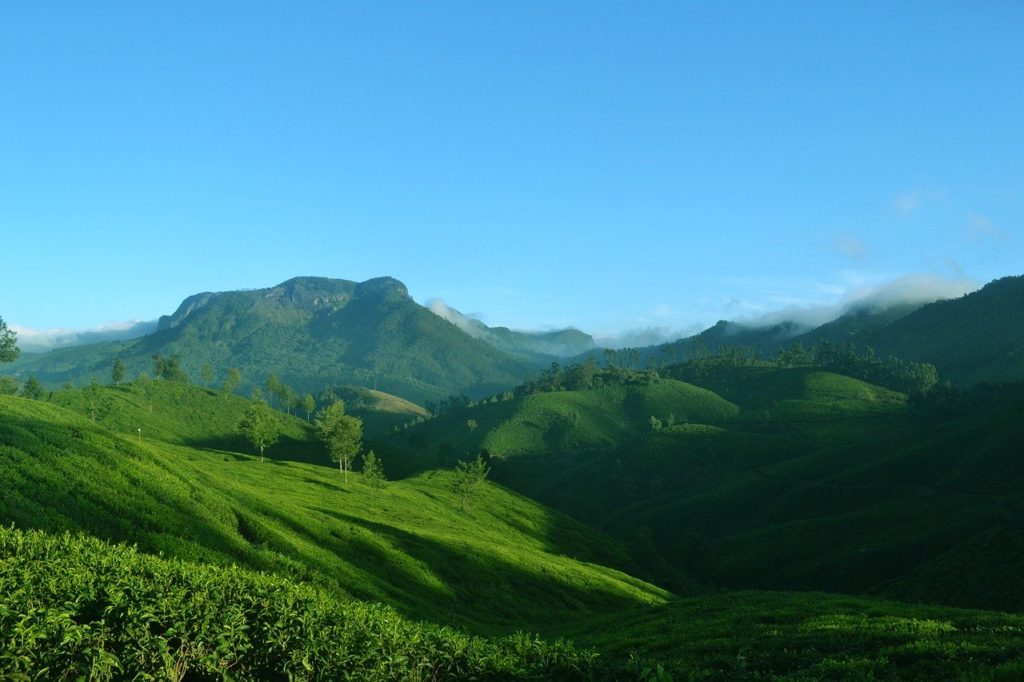 travel to Kerala