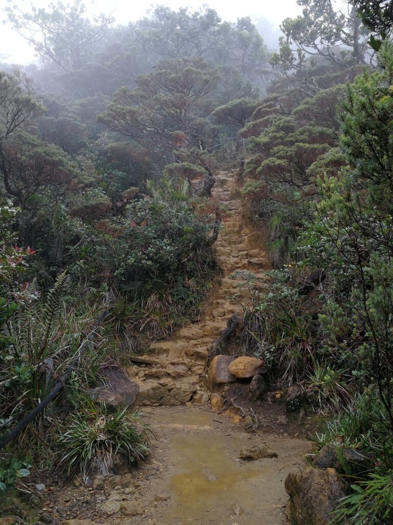 Climbing Mount Kinabalu