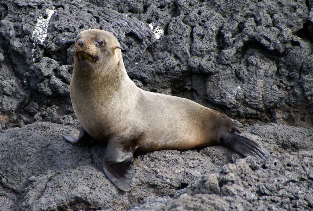 best places in Galapagos